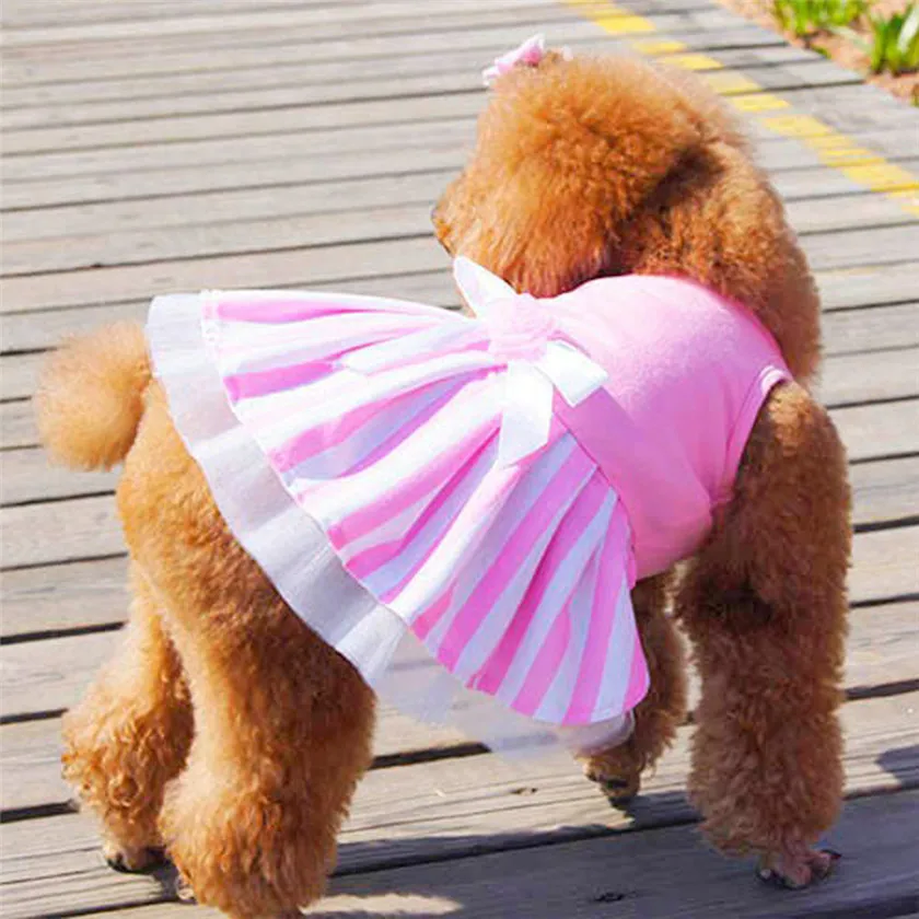 Practical 2018 NEW Fashion Pink Dog Cat Bow Tutu Dress Skirt Pet Puppy Dog Princess Costume Apparel Clothes Drop Shipping
Practical 2018 NEW Fashion Pink Dog Cat Bow Tutu Dress Skirt Pet Puppy Dog Princess Costume Apparel Clothes Drop Shipping