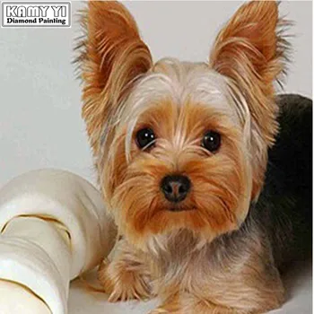 Full,Diamond Embroidery,Animal,Yorkshire Terrier Dog 5D,Diamond Painting,Cross Stitch,Diamond Mosaic,Crafts,Christmas LK1
Full,Diamond Embroidery,Animal,Yorkshire Terrier Dog 5D,Diamond Painting,Cross Stitch,Diamond Mosaic,Crafts,Christmas LK1