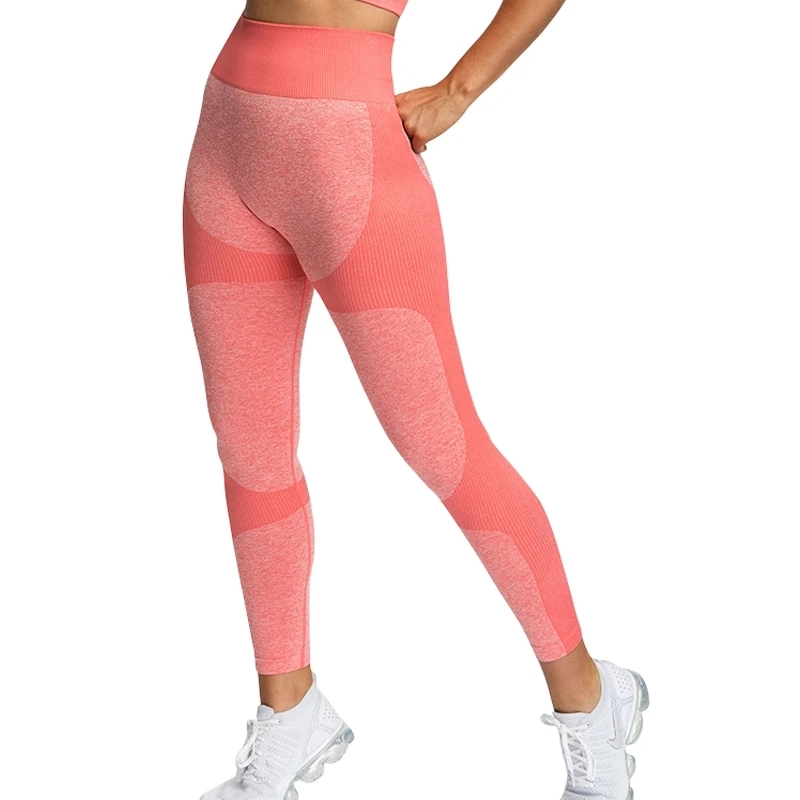 Women Outdoor Super Stretchy Thick Seamless Yoga Fitness Sports Running GYM Leggings
Women Outdoor Super Stretchy Thick Seamless Yoga Fitness Sports Running GYM Leggings