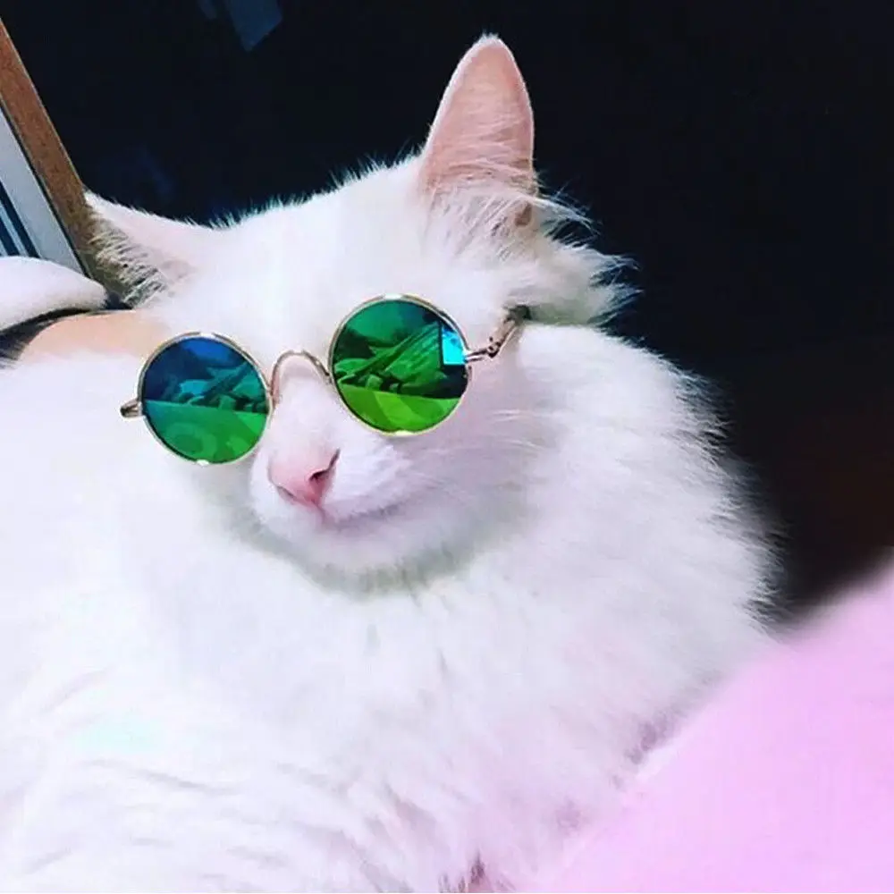 Фото Крутые солнцезащитные очки для кошек забавные инструмент фотосъемки