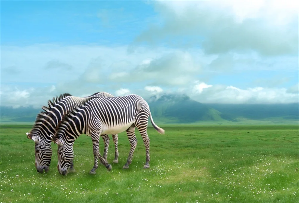 Laeacco Spring Zebra Grassland Baby Child Scene Photography Backgrounds Customized Photographic Backdrops For Photo Studio
Laeacco Spring Zebra Grassland Baby Child Scene Photography Backgrounds Customized Photographic Backdrops For Photo Studio