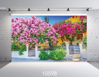 Background photo backdrops Courtyard Studio Seamless 6 x 9ft Screen Backdrop Photography Background, Photo Video Studio,
Background photo backdrops Courtyard Studio Seamless 6 x 9ft Screen Backdrop Photography Background, Photo Video Studio,
