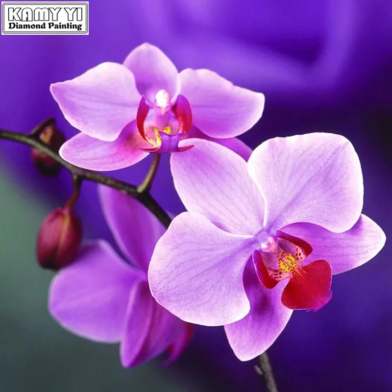 2017new 5d rhinestones Diy Diamond Painting Cross Stitch resin mosaic Diamond Embroidery orchid floral
2017new 5d rhinestones Diy Diamond Painting Cross Stitch resin mosaic Diamond Embroidery orchid floral