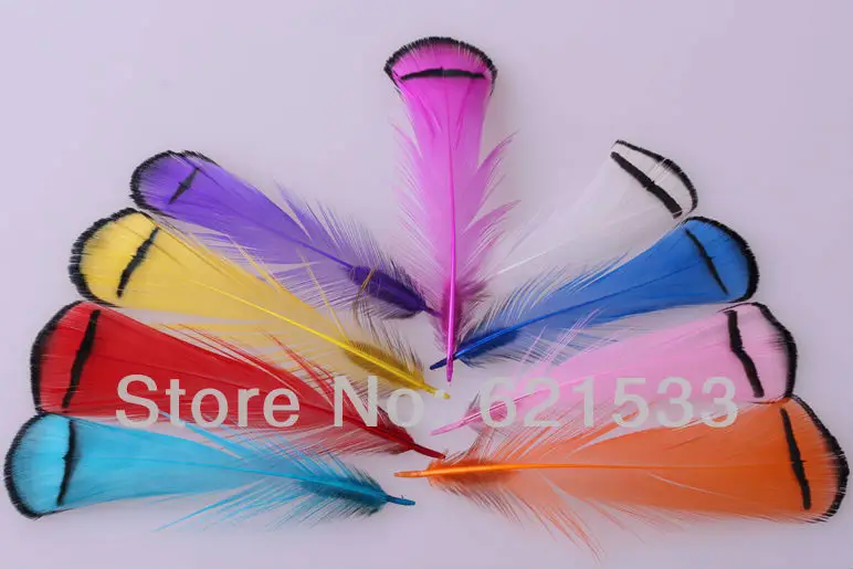200Pcs/Lot 5-9cm Lady Amherst Pheasant Tippet Feathers Multicolor,Lady Amherst Pheasant Plumage feathers
200Pcs/Lot 5-9cm Lady Amherst Pheasant Tippet Feathers Multicolor,Lady Amherst Pheasant Plumage feathers