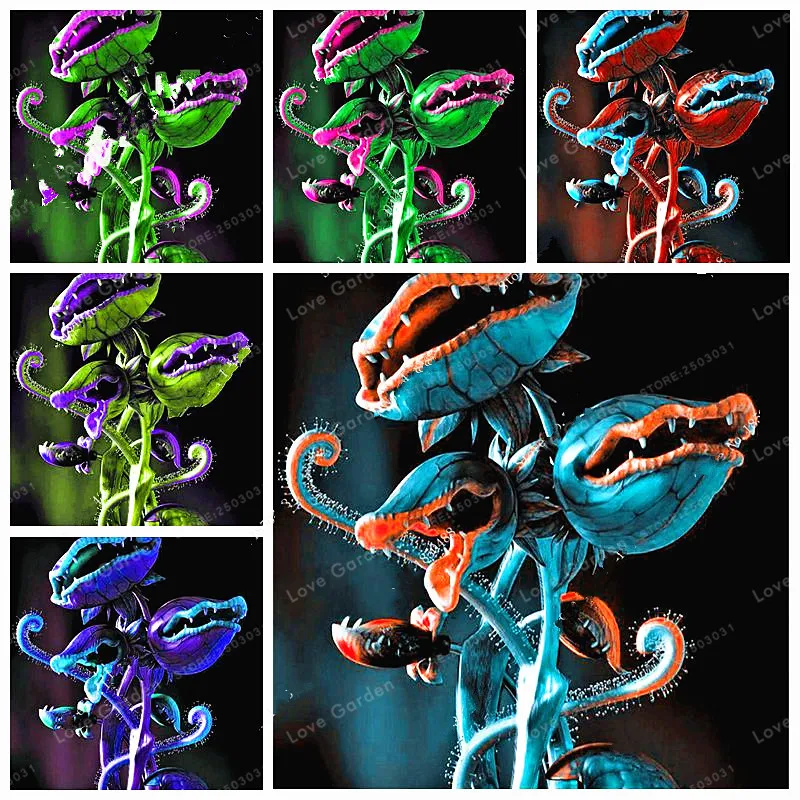 100 Pcs Garden Potted Plant Flytrap Bonsai Dionaea Muscipula Giant Clip Venus Flytrap Plant Bonsai Carnivorous Plant Bonsai
100 Pcs Garden Potted Plant Flytrap Bonsai Dionaea Muscipula Giant Clip Venus Flytrap Plant Bonsai Carnivorous Plant Bonsai