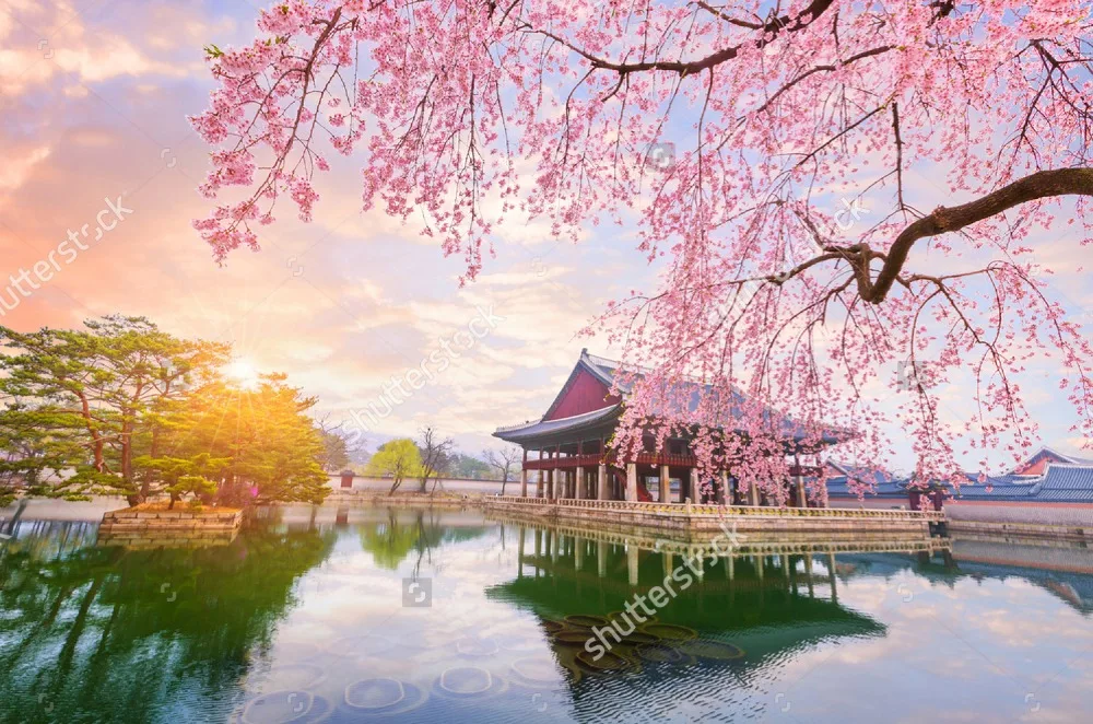 ozel dogal manzara duvar gyeongbokgung saray seul sehir kore oturma odasi yatak odasi kanepe arka plan duvar kagidi pvc wallpaper pvc nature wallwall nature aliexpress