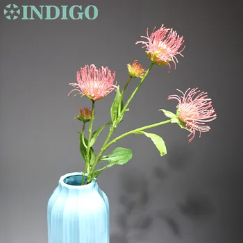 INDIGO - Wholesales100pcs Leucospermum Cordifolium (5flower/stem) drangea Nutans Wedding Event Party Table Flower Free Shipping
INDIGO - Wholesales100pcs Leucospermum Cordifolium (5flower/stem) drangea Nutans Wedding Event Party Table Flower Free Shipping