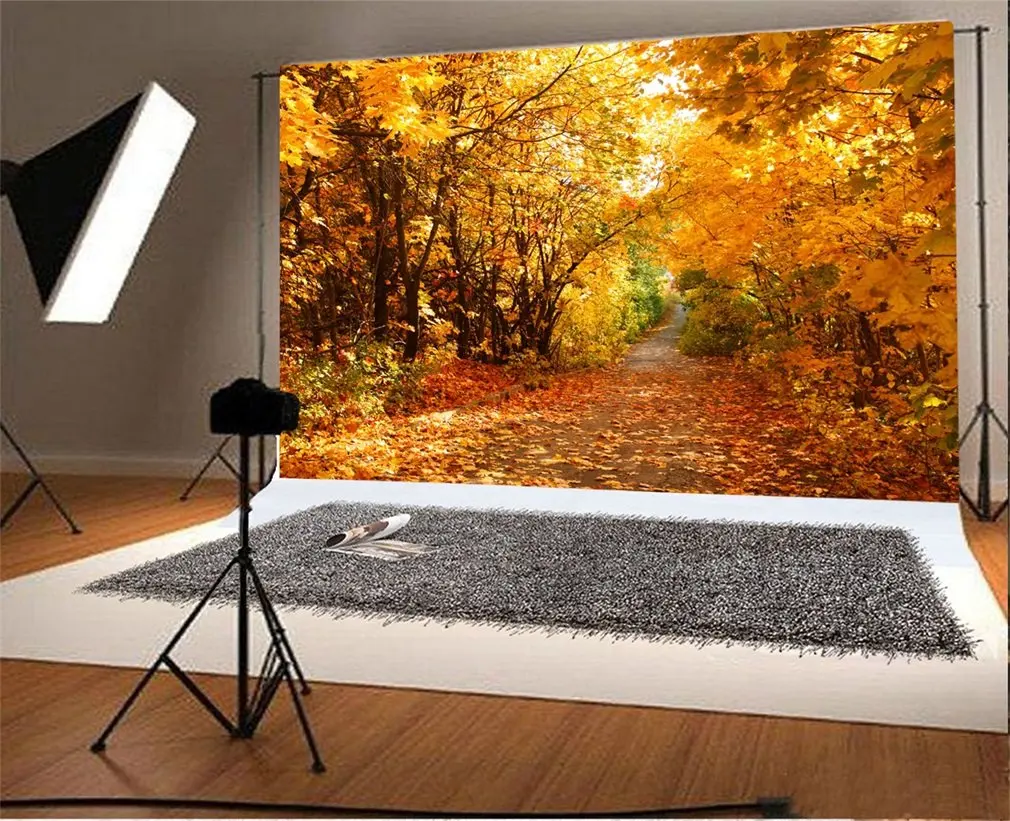7x5t Photography Backdrop Autumn Forest Yellow Leaves Nature Landscape Photo Background Party Adults Wedding Personal Portrait
7x5t Photography Backdrop Autumn Forest Yellow Leaves Nature Landscape Photo Background Party Adults Wedding Personal Portrait