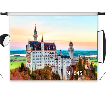 LB Polyester & Vinyl Gorgeous Castle Autumn Rosy Clouds Backdrops Background For Photography Studio Backdrop Photo Props Decor
LB Polyester & Vinyl Gorgeous Castle Autumn Rosy Clouds Backdrops Background For Photography Studio Backdrop Photo Props Decor