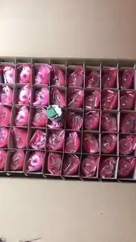 New and Orginal SKS36-HFA0-S01 Encoder 
New and Orginal SKS36-HFA0-S01 Encoder