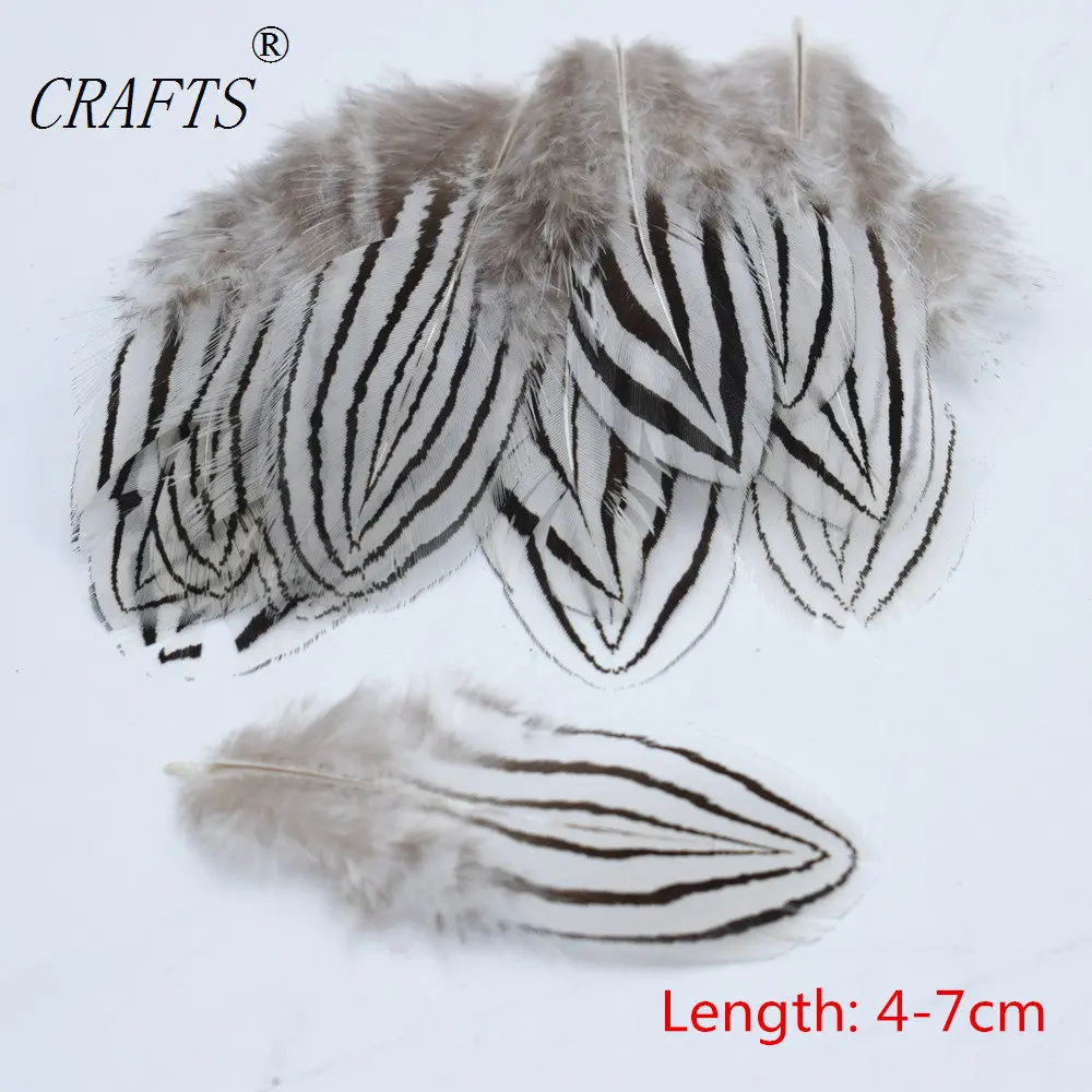 New! 20 pc quality natural Pheasant feathers 4-7cm DIY decorative handicrafts accessories
New! 20 pc quality natural Pheasant feathers 4-7cm DIY decorative handicrafts accessories