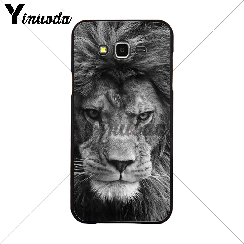 Animals The lion