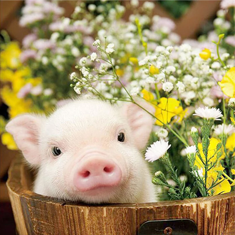 DIY Diamond Embroidery,5D Diamond Painting "Cute Flower Pig" Animal Mosaic Crafts Full Rhinestone Cross Stitch Decoration GT
DIY Diamond Embroidery,5D Diamond Painting "Cute Flower Pig" Animal Mosaic Crafts Full Rhinestone Cross Stitch Decoration GT