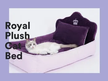 Pet Dog House Nest With Mat Cute Plush Cushion Winter Warm Small Medium Dogs Pet Removable Mattress Cat Bed Dog Puppy Kennel
Pet Dog House Nest With Mat Cute Plush Cushion Winter Warm Small Medium Dogs Pet Removable Mattress Cat Bed Dog Puppy Kennel