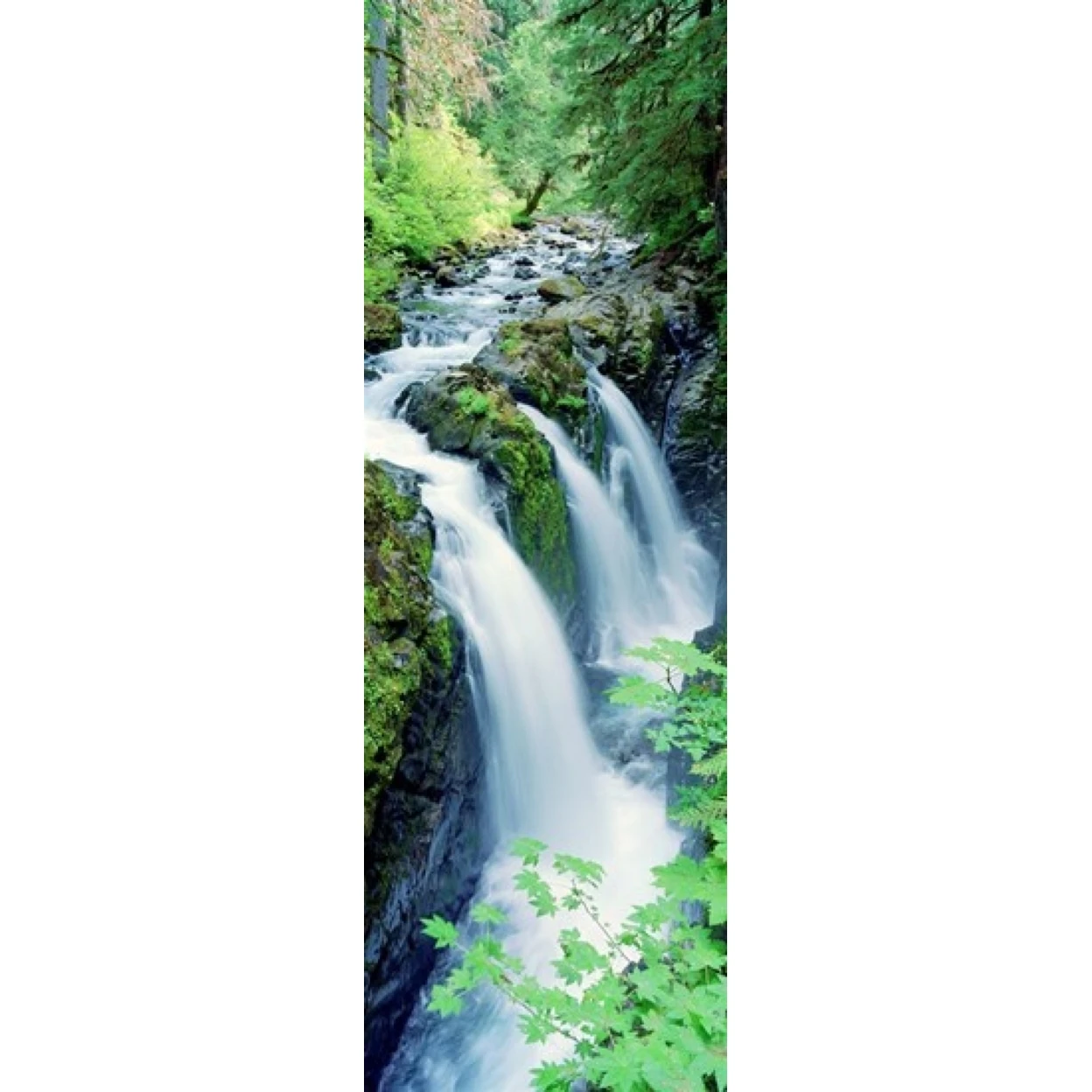 Sol Duc Falls Olympic National Park WA Poster Print (18 x 7)