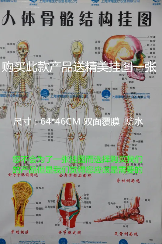 //img.alicdn.com/imgextra/i2/466366108/T2VzXMXqtaXXXXXXXX-466366108.jpg