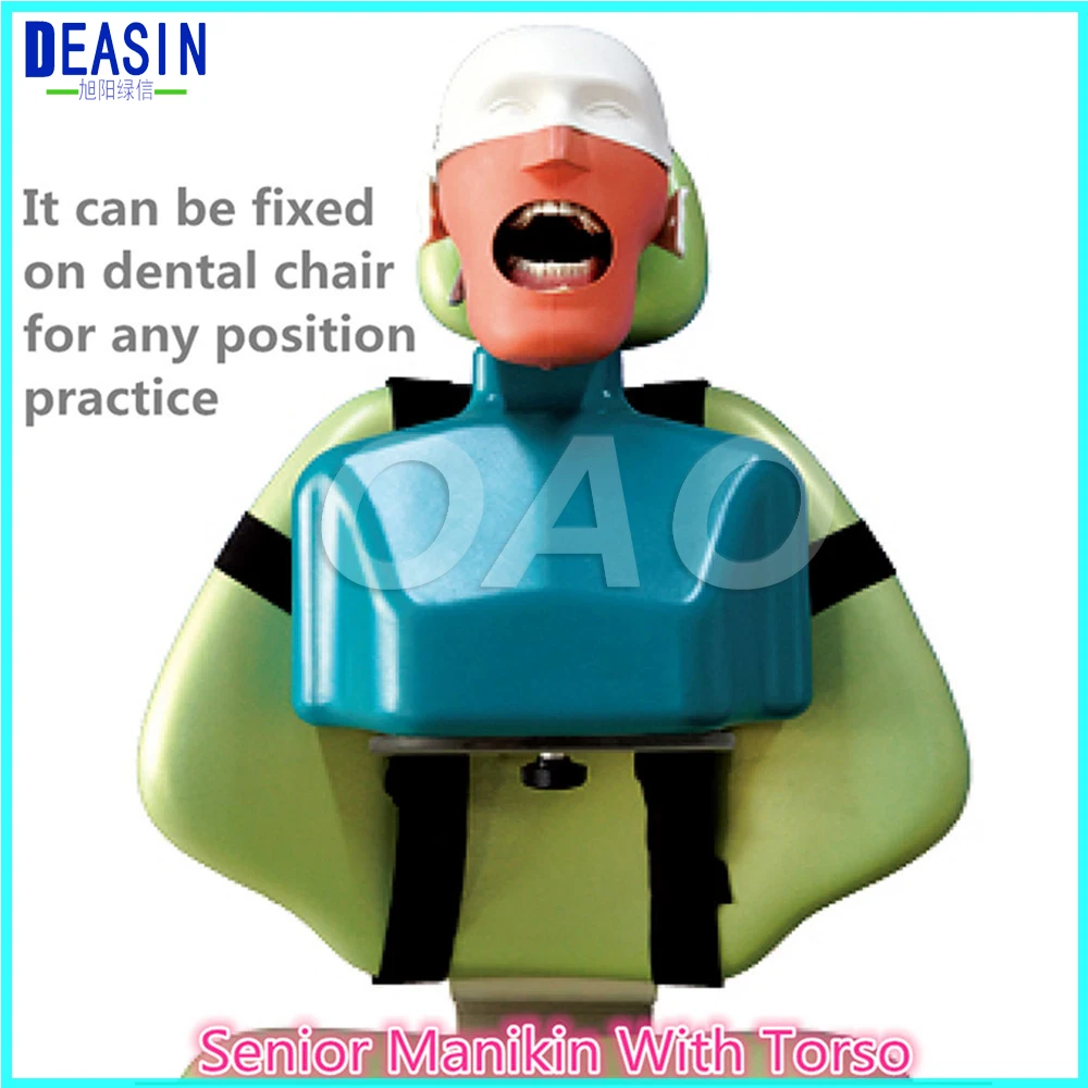 High Quality High Quality Senior Manikins Model With Torso It can be fixed on the dental chair for any position practice
High Quality High Quality Senior Manikins Model With Torso It can be fixed on the dental chair for any position practice