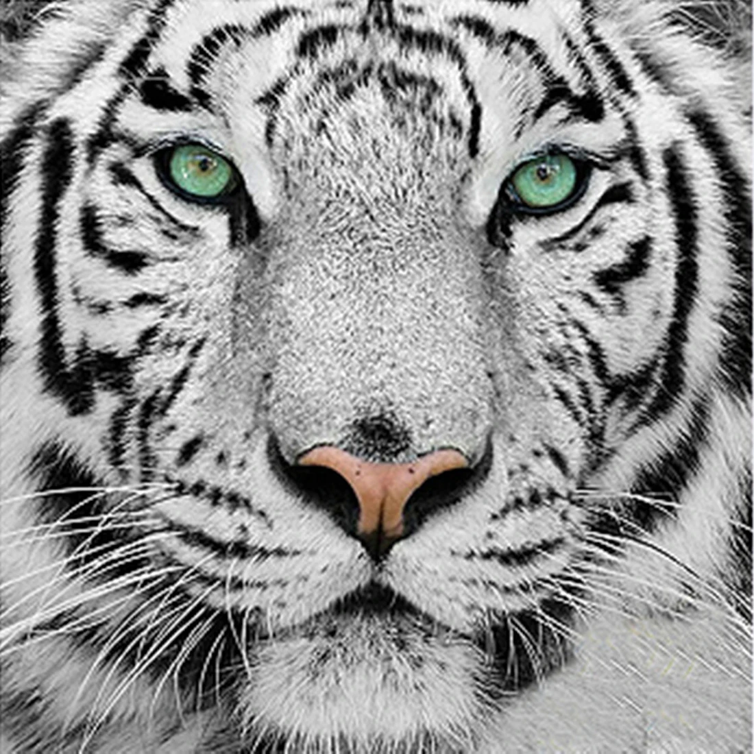 3D Diamond Mosaic Home Decoration Diamond Embroidery diy diamond Painting Cross Stitch kit Animal Tiger Lion cartoon picture
3D Diamond Mosaic Home Decoration Diamond Embroidery diy diamond Painting Cross Stitch kit Animal Tiger Lion cartoon picture