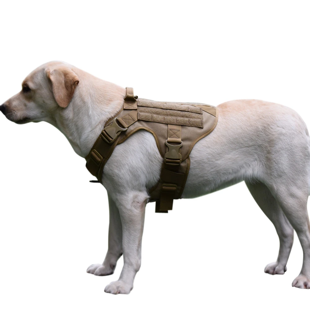 Tactical Molle K9 Harness with Handle Working Service Dog Vest with Front Clip Leash
Tactical Molle K9 Harness with Handle Working Service Dog Vest with Front Clip Leash