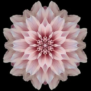 5D DIY Pink Flower Diamond Painting Cross Stitch Full Round Mandala Diamond Embroidery Crystal Rhinestone Diamond Mosaic Picture
5D DIY Pink Flower Diamond Painting Cross Stitch Full Round Mandala Diamond Embroidery Crystal Rhinestone Diamond Mosaic Picture
