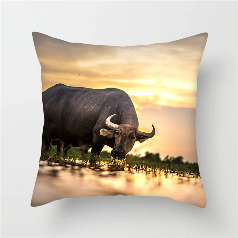 Fuwatacchi Animal Print Cushion Cover Animals Pillow Cover Decor Car Seat Sofa Chair Home Decorative Pillows Case Kussenhoes
Fuwatacchi Animal Print Cushion Cover Animals Pillow Cover Decor Car Seat Sofa Chair Home Decorative Pillows Case Kussenhoes