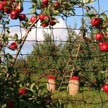 Barrier Bird Repellent Netting Protect Plants Fruit Trees Extra Strong Garden Net Reusable Lasting Against Birds
Barrier Bird Repellent Netting Protect Plants Fruit Trees Extra Strong Garden Net Reusable Lasting Against Birds