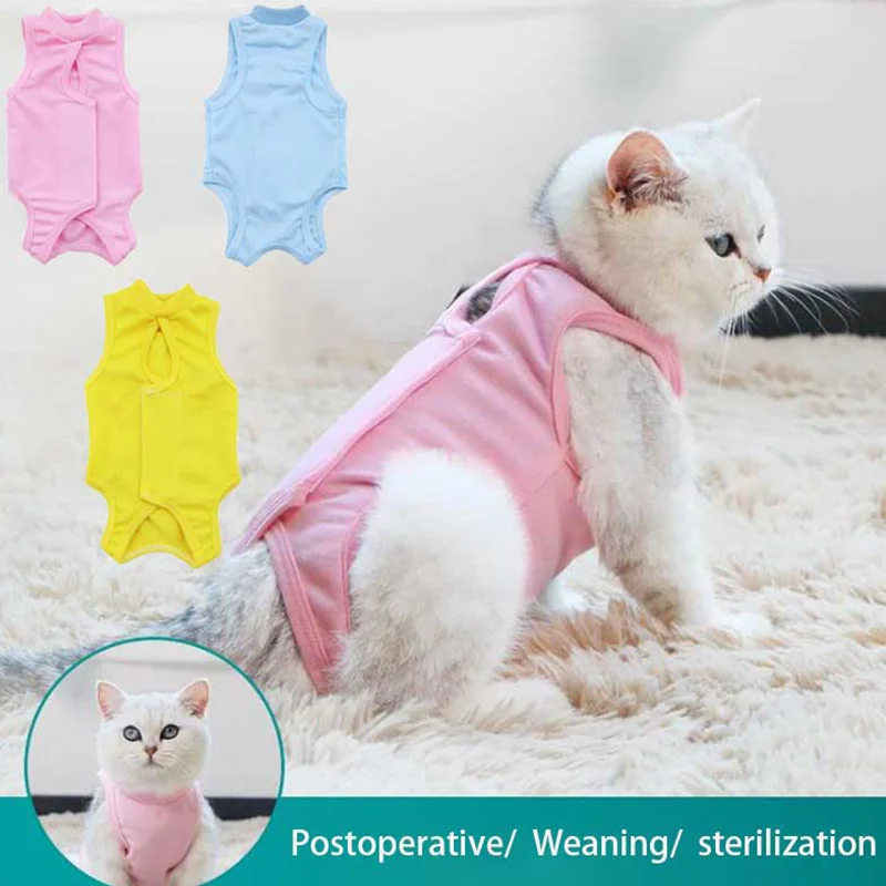 post surgery shirt for cats