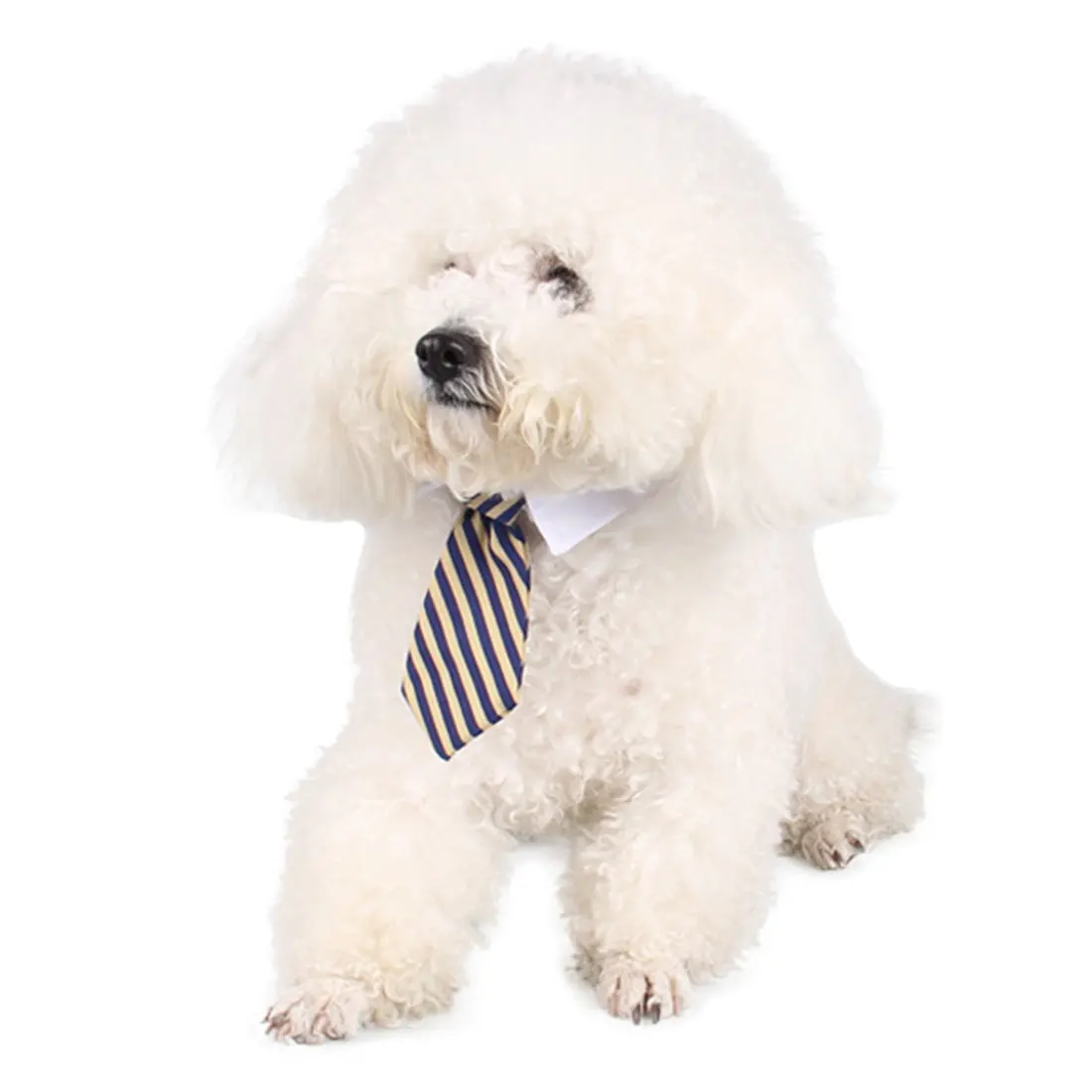 Fashion Dog Cat Pet Fashion Cute Stripe Bow Tie Puppy Kitten White Collar Necktie
Fashion Dog Cat Pet Fashion Cute Stripe Bow Tie Puppy Kitten White Collar Necktie