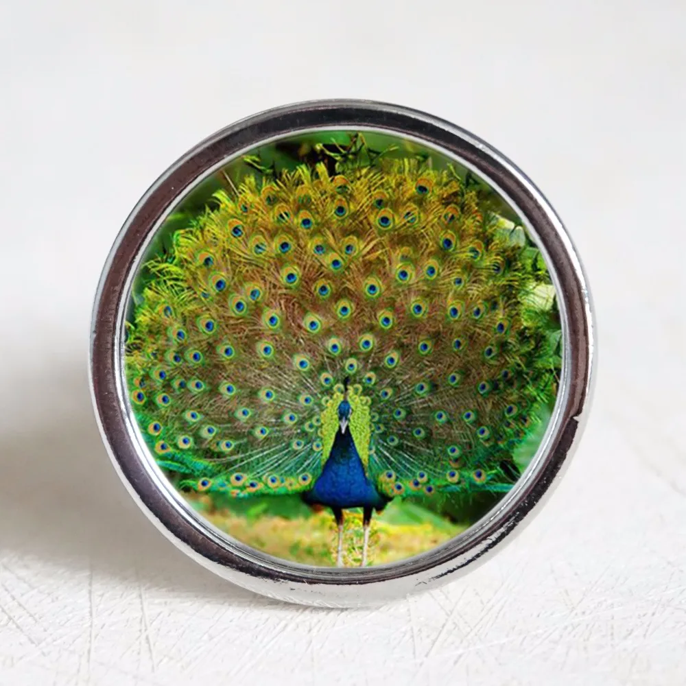 Peacock knobs / Dresser Crystal Knobs / Kitchen Cabinet Knobs Furniture Handle Pull Bling Hardware Silver Clear
Peacock knobs / Dresser Crystal Knobs / Kitchen Cabinet Knobs Furniture Handle Pull Bling Hardware Silver Clear