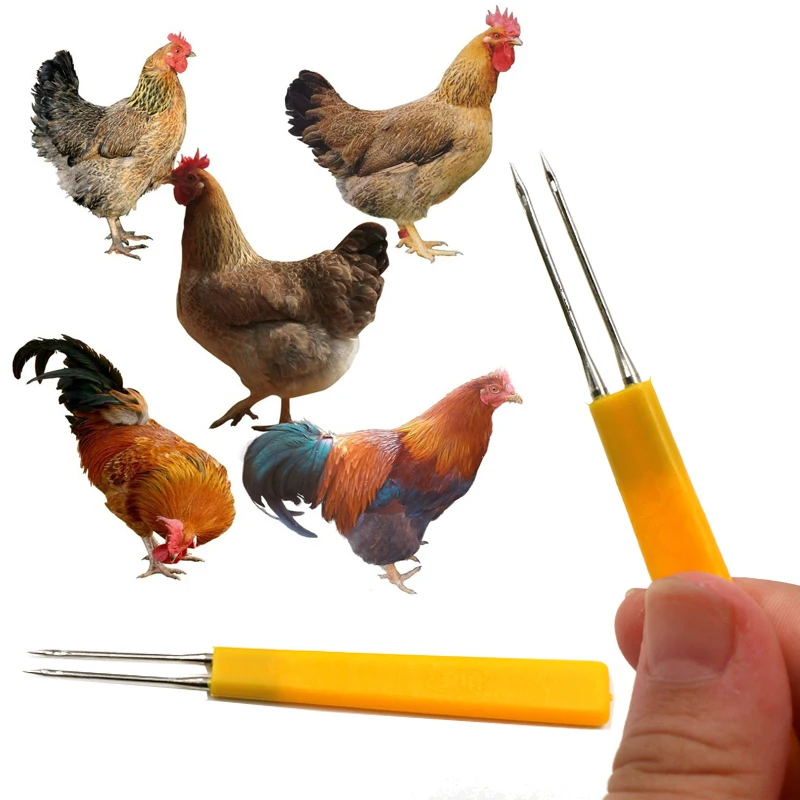 50 Pieces of Stainless Steel Chicken Vaccination Needle Pigeon Vaccine Double Needle Poultry Animal Class Immune Thorn Needles
50 Pieces of Stainless Steel Chicken Vaccination Needle Pigeon Vaccine Double Needle Poultry Animal Class Immune Thorn Needles