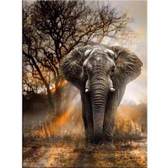 Full 5D DIY Diamond Painting Animal Elephant Diamond Embroidery Cross Stitch Embroidery Crafts Decoration gift
Full 5D DIY Diamond Painting Animal Elephant Diamond Embroidery Cross Stitch Embroidery Crafts Decoration gift