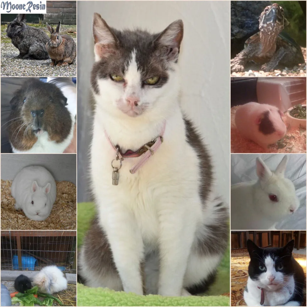 5D Diamond Painting Cross Stitch Animals Cats Sleeping Diy Diamond Mosaic Full Square 3D Diamond Embroidery Decoration Paintings
5D Diamond Painting Cross Stitch Animals Cats Sleeping Diy Diamond Mosaic Full Square 3D Diamond Embroidery Decoration Paintings