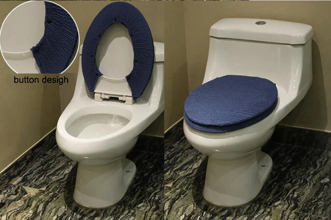 blue toilet