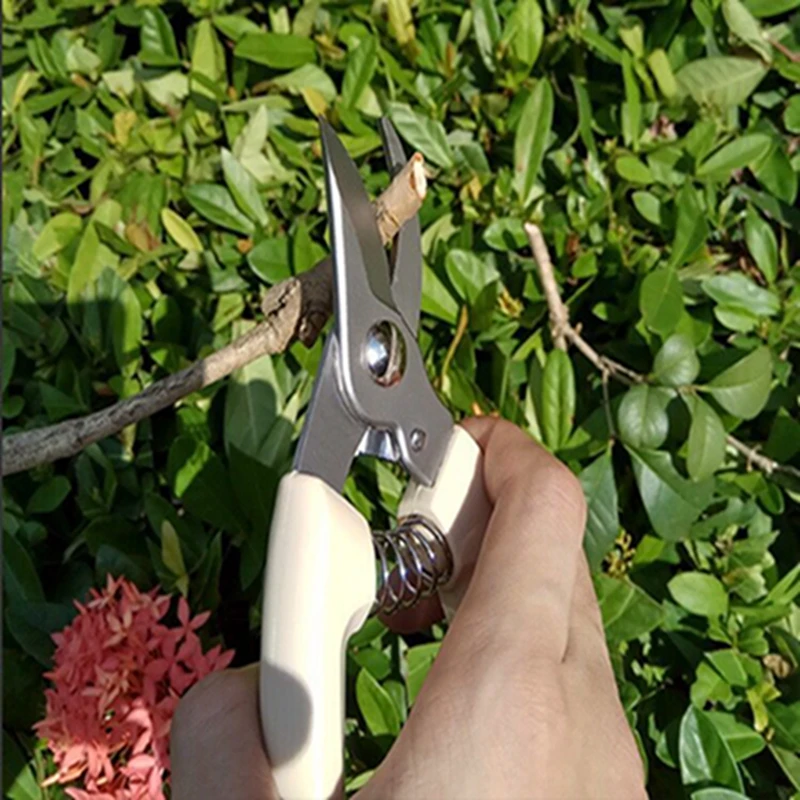SK5 Manganese Steel Pruners Garden Shears Garden Scissors Double-edged Large-caliber Pruning Shears Fruit Tree Branches Garden Tools (3)