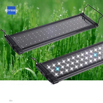 220-240V 30-45/45-55/60-80/90-100/120-140cm Aquarium Blue and White LED Lighting Fish Tank Light Lamp with Extendable Brackets
220-240V 30-45/45-55/60-80/90-100/120-140cm Aquarium Blue and White LED Lighting Fish Tank Light Lamp with Extendable Brackets