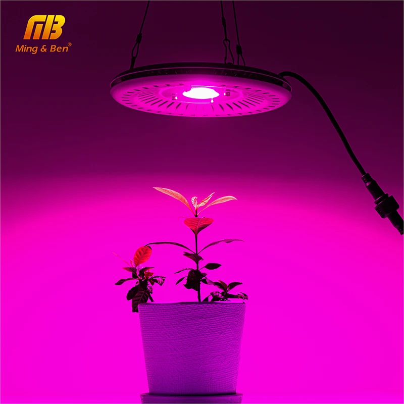 LED Full Spectrum Phyto Lamp 40W 50W Nano Grow Light 110V 220V UFO Liquid Crystal Nano Floodlight IP67 Flower Hydroponic Seeding
LED Full Spectrum Phyto Lamp 40W 50W Nano Grow Light 110V 220V UFO Liquid Crystal Nano Floodlight IP67 Flower Hydroponic Seeding