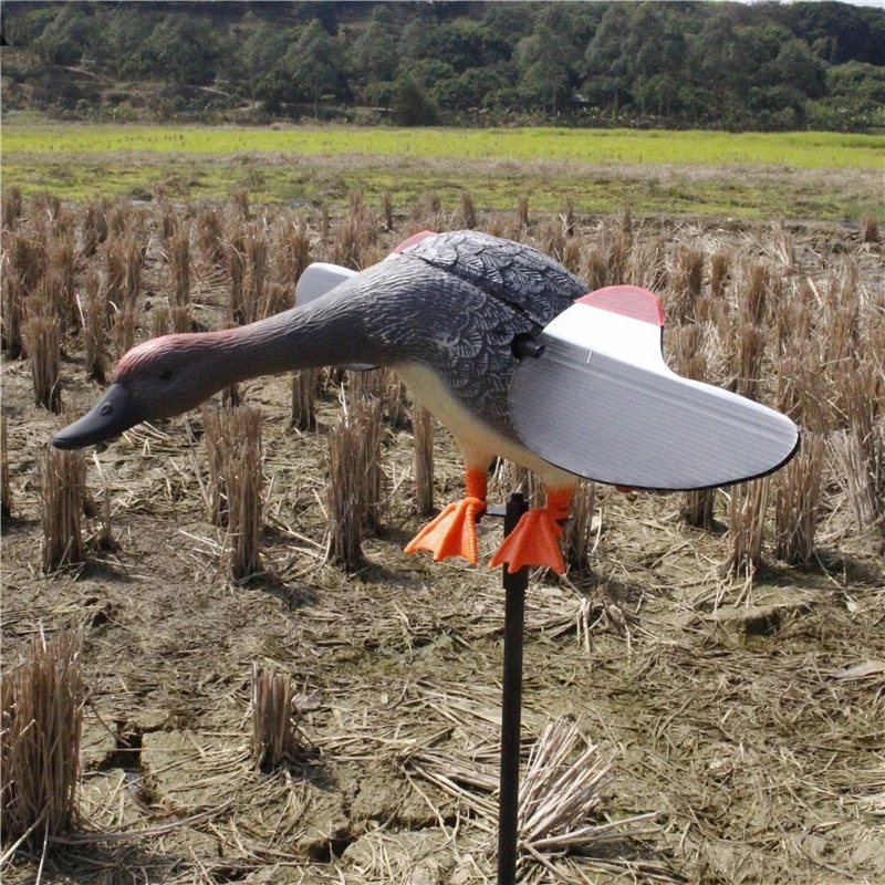 PDDHKK Plastic Duck Hunting Decoy with Magnet Spinning Wings 6V/12V for Outdoor Duck Hunting 50-100m Remote Control with Motor
PDDHKK Plastic Duck Hunting Decoy with Magnet Spinning Wings 6V/12V for Outdoor Duck Hunting 50-100m Remote Control with Motor