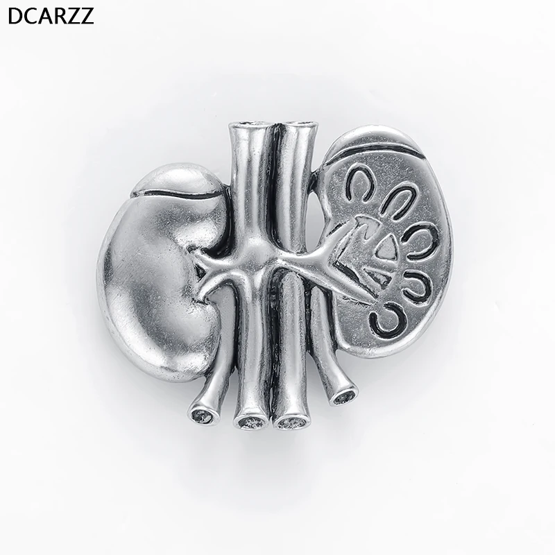 DCARZZ Kidney Anatomy Pin Medical Gift Doctor Vintage Gold Silver Pins Metal Trendy Jewelry Beautiful Brooches Women Accessories
DCARZZ Kidney Anatomy Pin Medical Gift Doctor Vintage Gold Silver Pins Metal Trendy Jewelry Beautiful Brooches Women Accessories