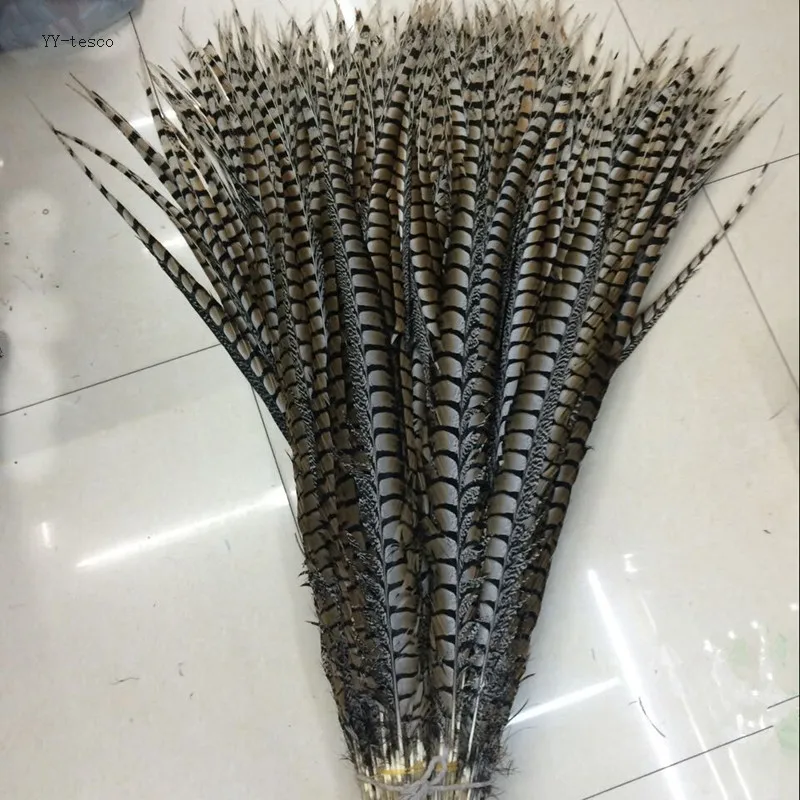 wholesale 50pcs high quality natural Lady Amherst Pheasant Feathers 10-120cm/4-48inch Wedding Accessories Stage performance diy
wholesale 50pcs high quality natural Lady Amherst Pheasant Feathers 10-120cm/4-48inch Wedding Accessories Stage performance diy