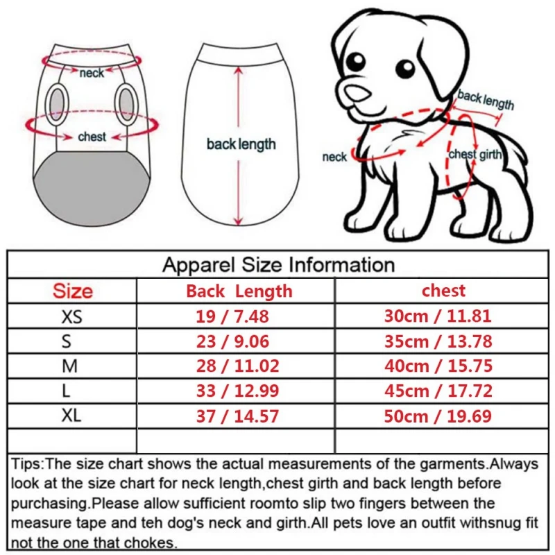 French Clothing Size Chart