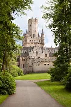 Art Fabric photography backdrop nature scenery custom photo prop backgrounds 5ftX7ft D-3698
Art Fabric photography backdrop nature scenery custom photo prop backgrounds 5ftX7ft D-3698