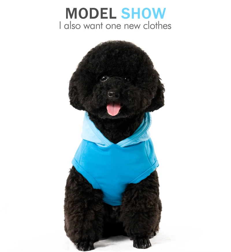 10 dog hoodie