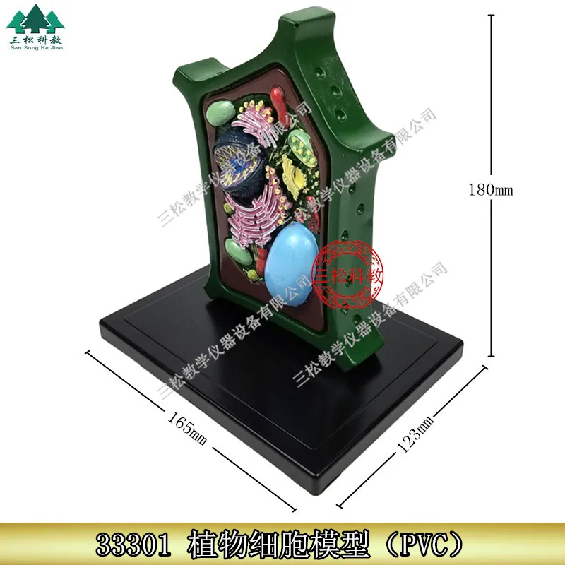 Plant Cell Model Plant Microscopic Specimens Magnified Cell Structure Bio-teaching Model Display Utensils
Plant Cell Model Plant Microscopic Specimens Magnified Cell Structure Bio-teaching Model Display Utensils