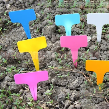 50pcs Markers Plant Labels T-Type Tags Gardening Outdoor 6*10CM Accessories Set Garden Nursery Label
50pcs Markers Plant Labels T-Type Tags Gardening Outdoor 6*10CM Accessories Set Garden Nursery Label