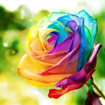 Diy diamond embroidery set full square drill diamond painting 5d picture of stones wall decor Colorful Rose KBL
Diy diamond embroidery set full square drill diamond painting 5d picture of stones wall decor Colorful Rose KBL