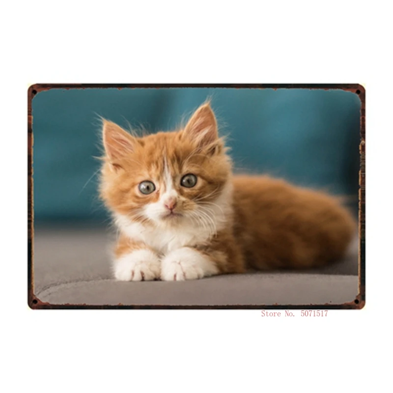 Home Decor Bar Wall Art Painting 20*30 CM Size y-2172 Lovely Cats Metal Sign Tin Poster
Home Decor Bar Wall Art Painting 20*30 CM Size y-2172 Lovely Cats Metal Sign Tin Poster
