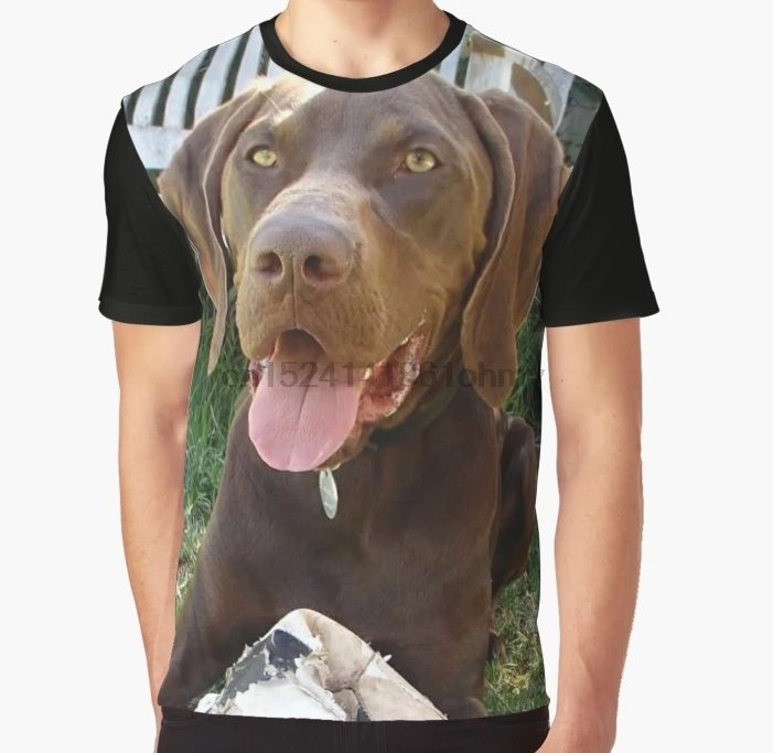 All Over Print 3D Women T Shirt Men Funny tshirt German Shorthaired Pointer Graphic T-Shirt
All Over Print 3D Women T Shirt Men Funny tshirt German Shorthaired Pointer Graphic T-Shirt