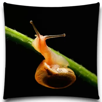 Natural Snail Insect Cotton polyester Pillow Case Sofa car Pad Home Decoration Cushion Cover 9 style 16 18 20 inches
Natural Snail Insect Cotton polyester Pillow Case Sofa car Pad Home Decoration Cushion Cover 9 style 16 18 20 inches