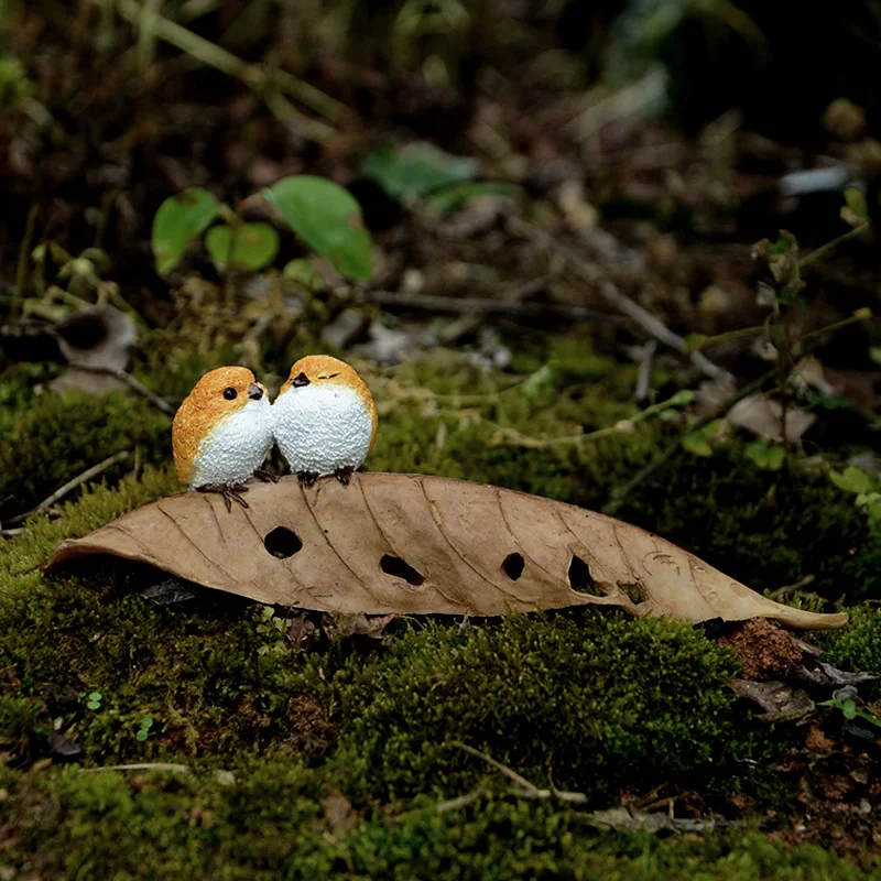 Asli Hewan Ternak Lucu Kawaii Katak Burung Burung Pipit Beberapa
