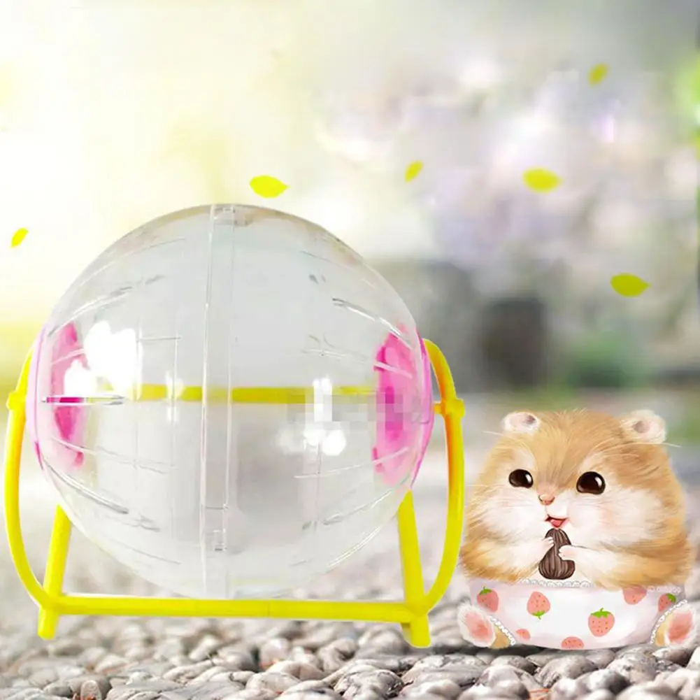 Mini Hamster Bracket Running Ball Pet Rodent Jogging Play The Ball Small Hamsters Pet Sport Exercise Toys
Mini Hamster Bracket Running Ball Pet Rodent Jogging Play The Ball Small Hamsters Pet Sport Exercise Toys